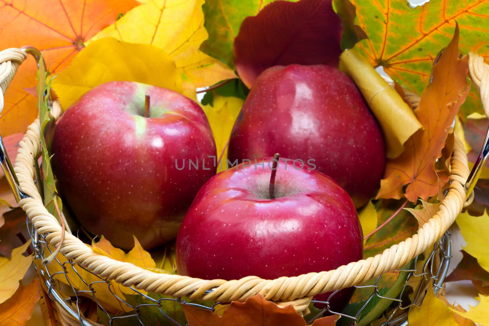 Basket with apples against autumn leaves
