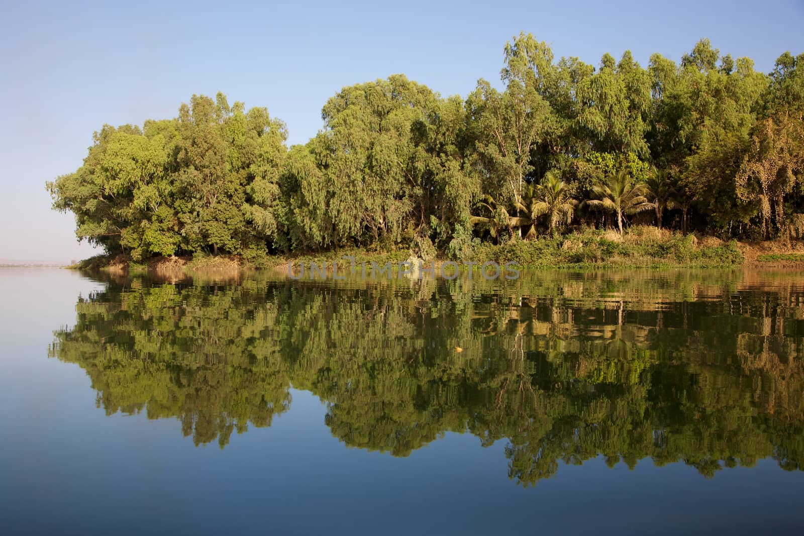 Wonderful landscape in Bamako - Mali, tress and water in vibrant colors