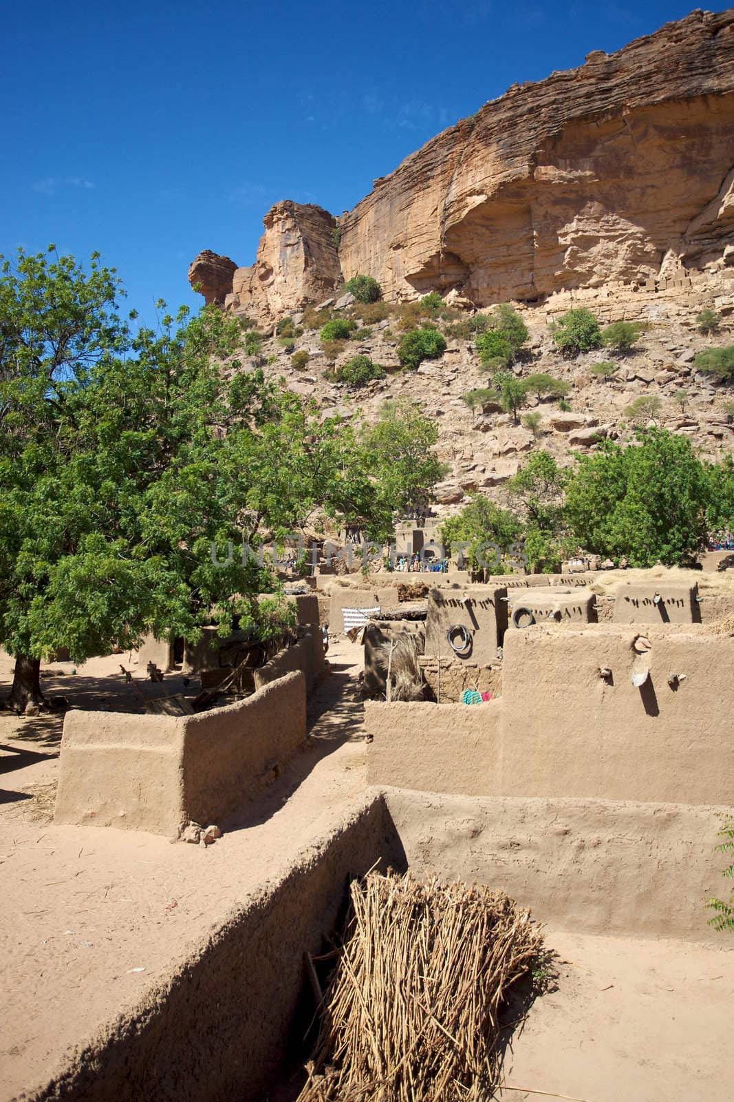 Small Dogon village somewhere on the cliff of Bandiagara.