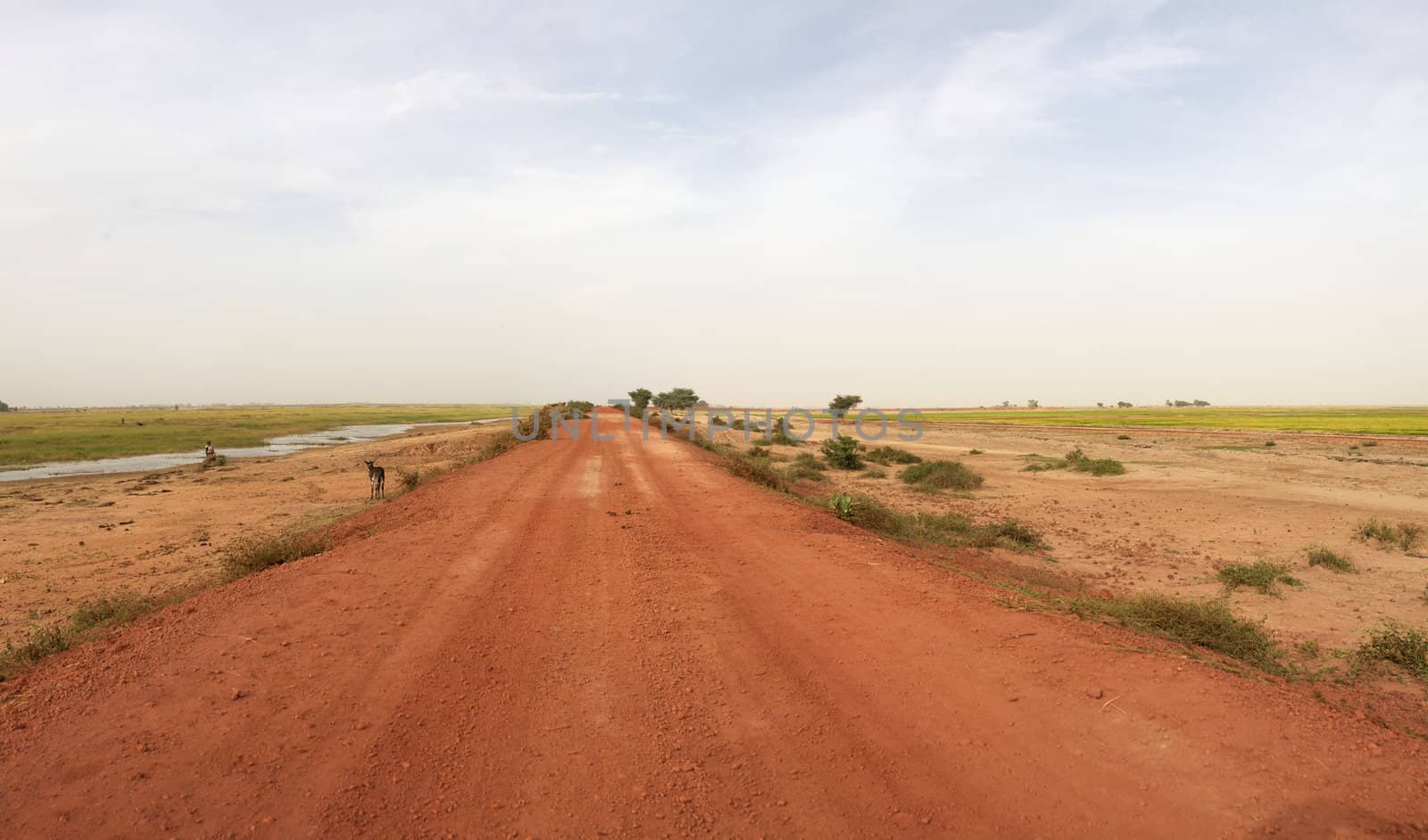 Near Mopti, red gravel road late afternoon.