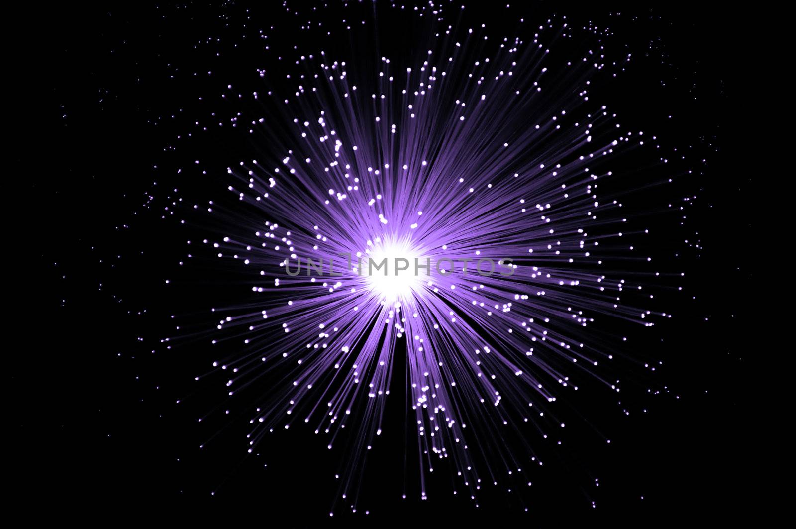 Overhead capturing many illuminated violet fiber optic light strands against black background