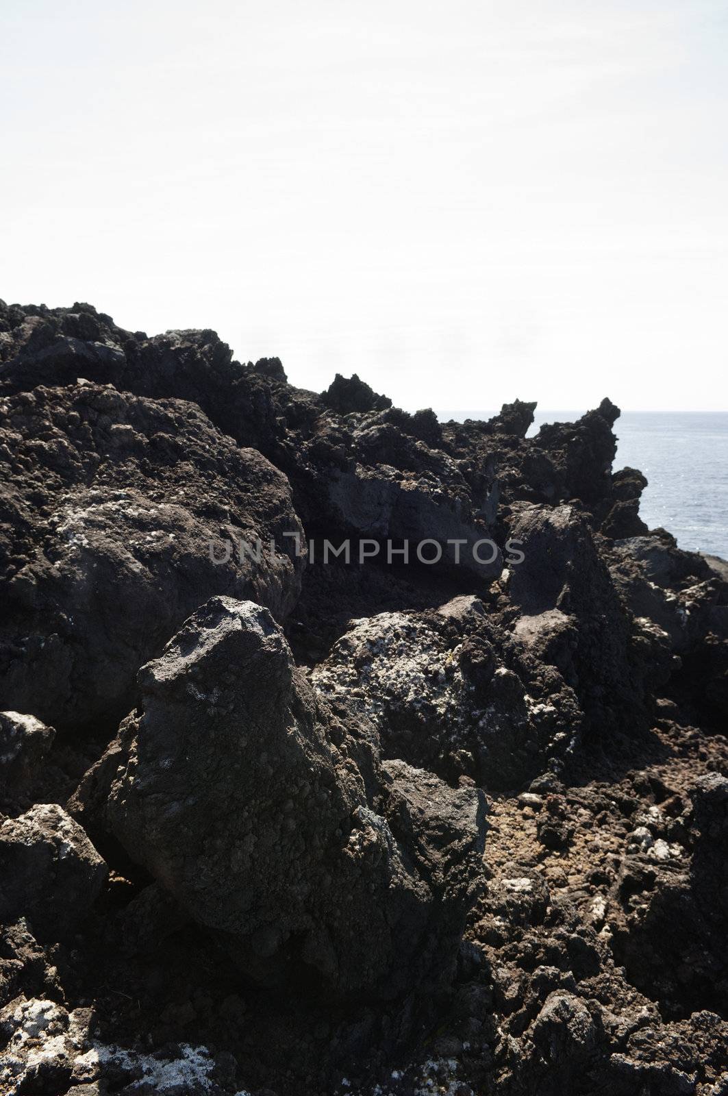 Volcanic rock in Pico island coastline, Azores