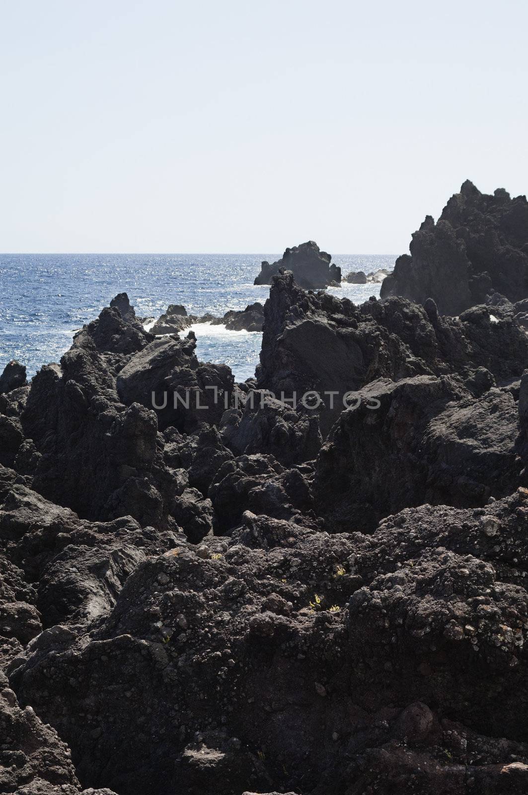 Volcanic rock in Pico island coastline, Azores