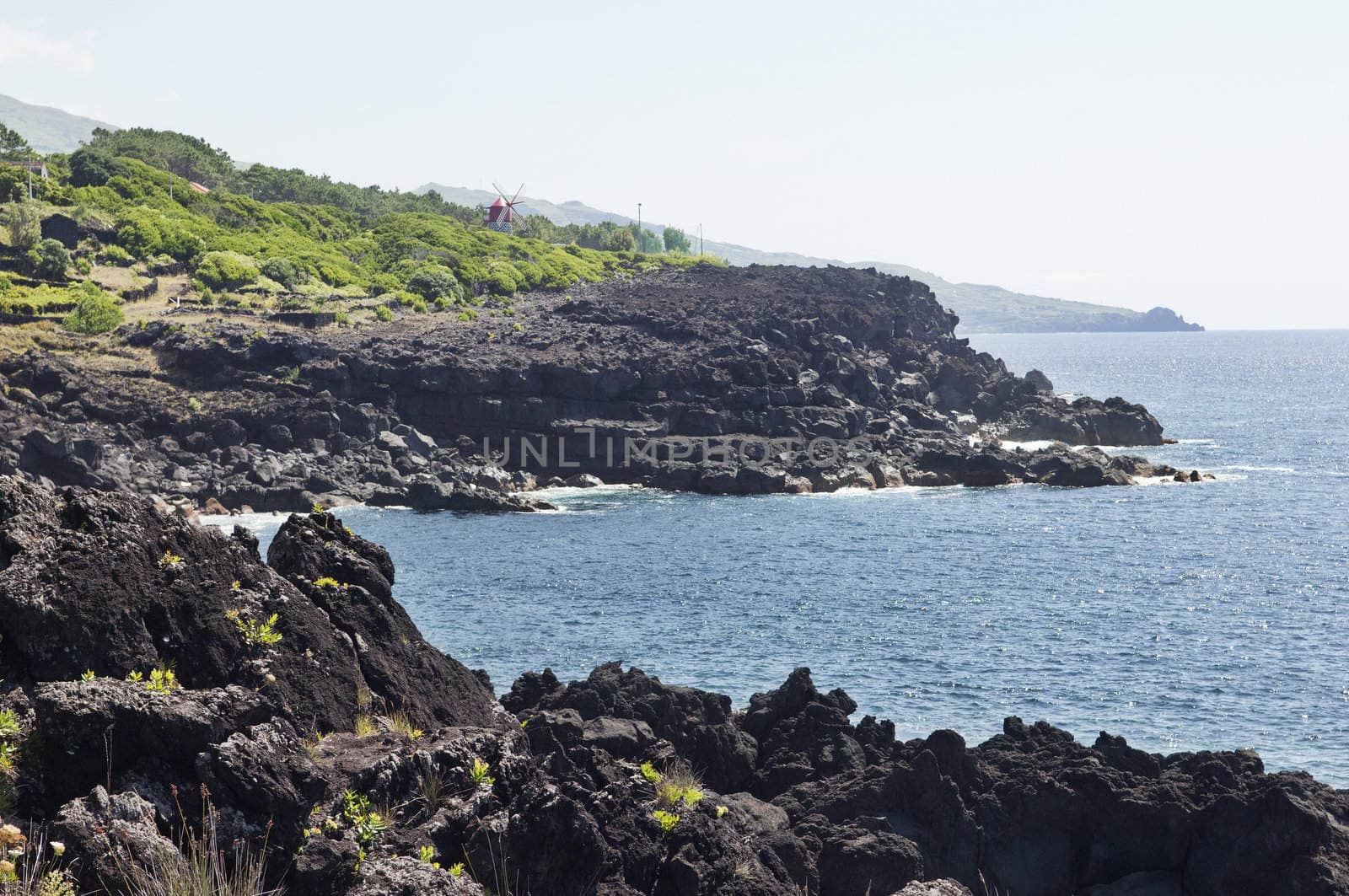 Volcanic coastline landscape of Pico island, Azores