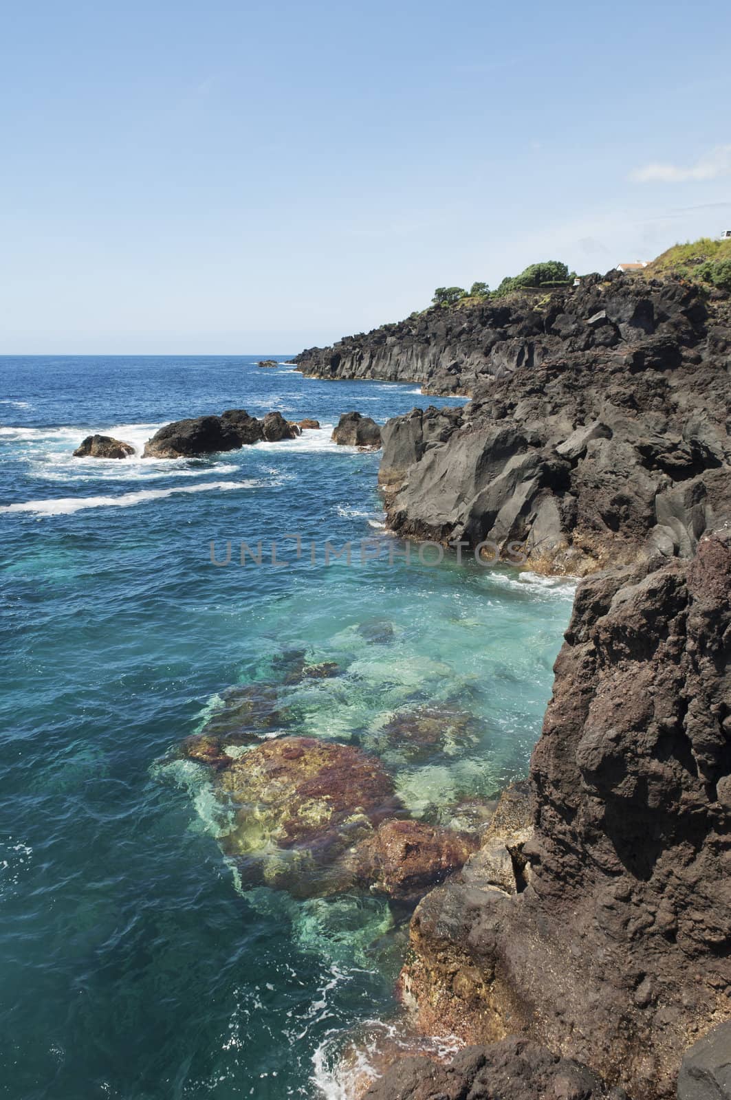 Volcanic coastline landscape of Pico island, Azores