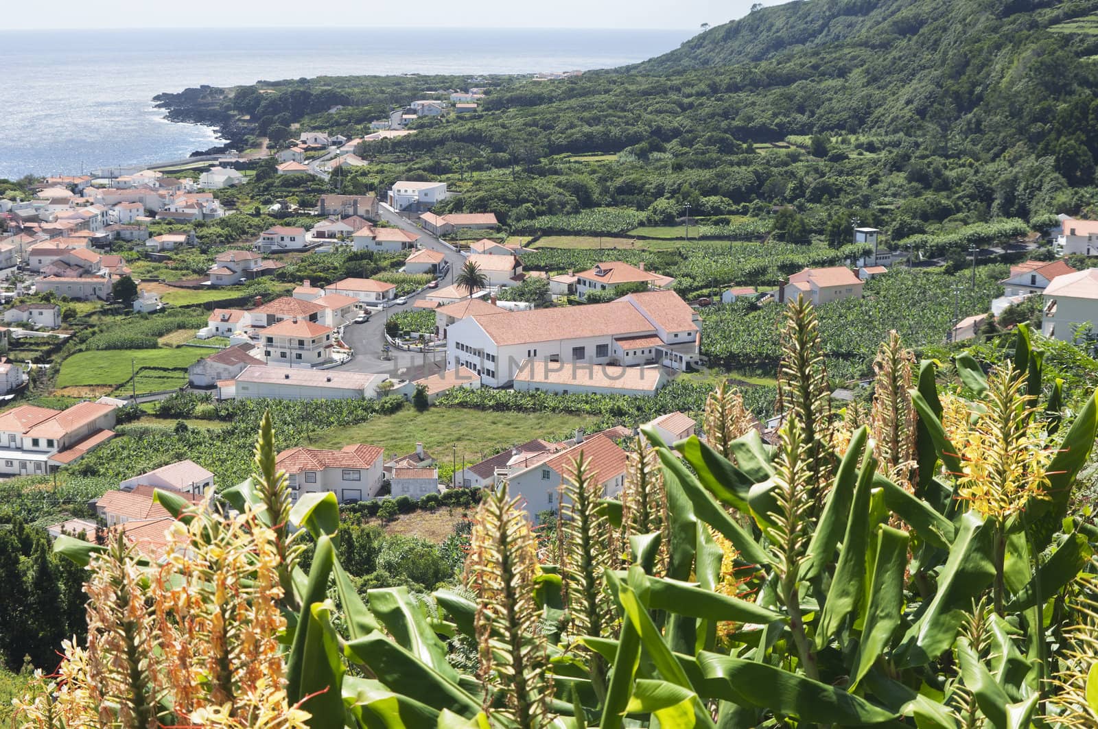 Small village of Ribeiras in Pico island, Azores