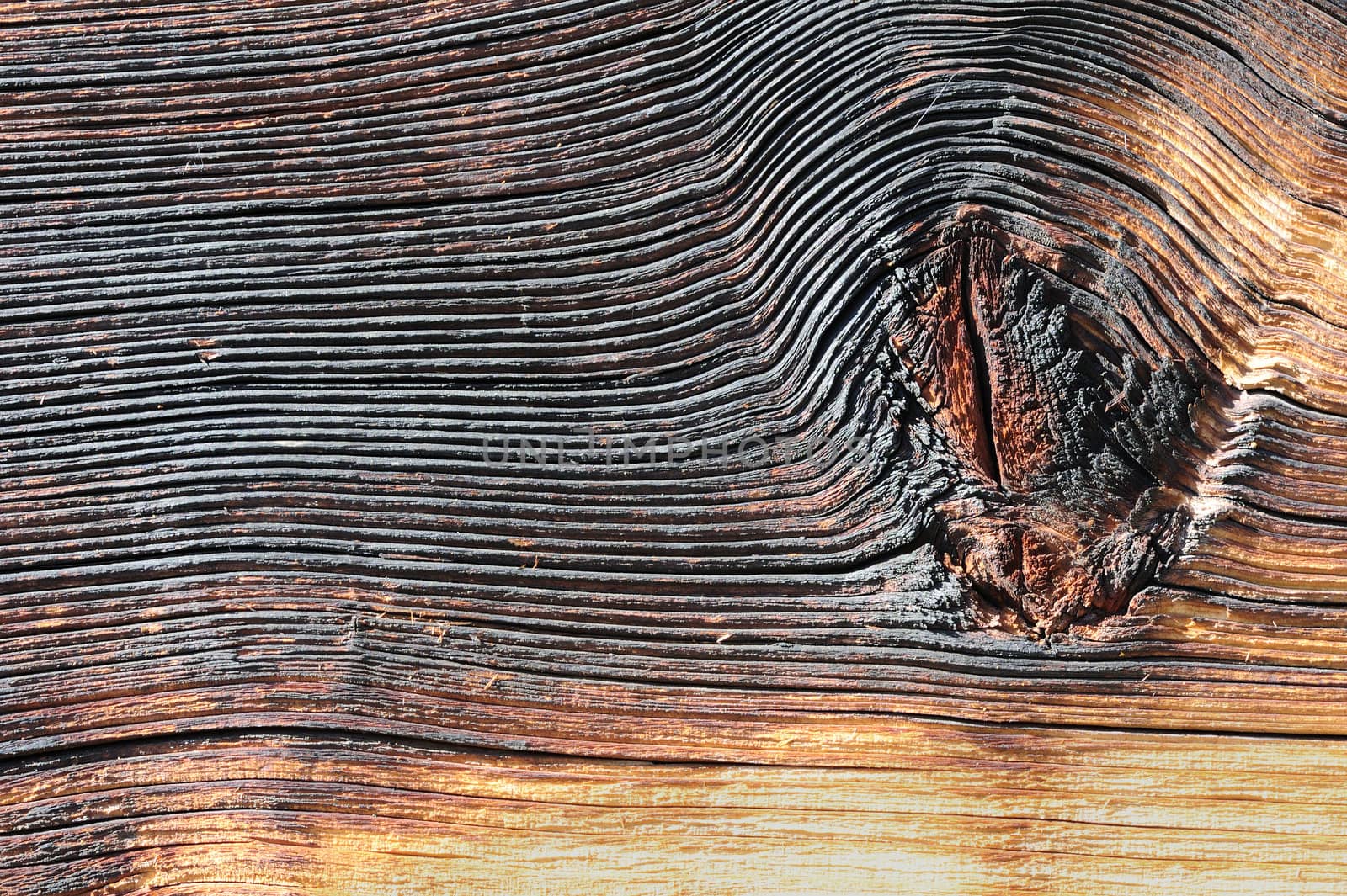 Macro of a pine plank with a knot in it. Suitable as a natural background