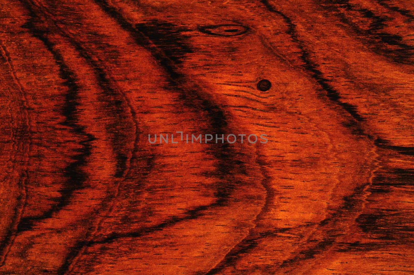 Macrophotograph of the grain of polished Jacaranda wood. Suitable as a natural abstract background.