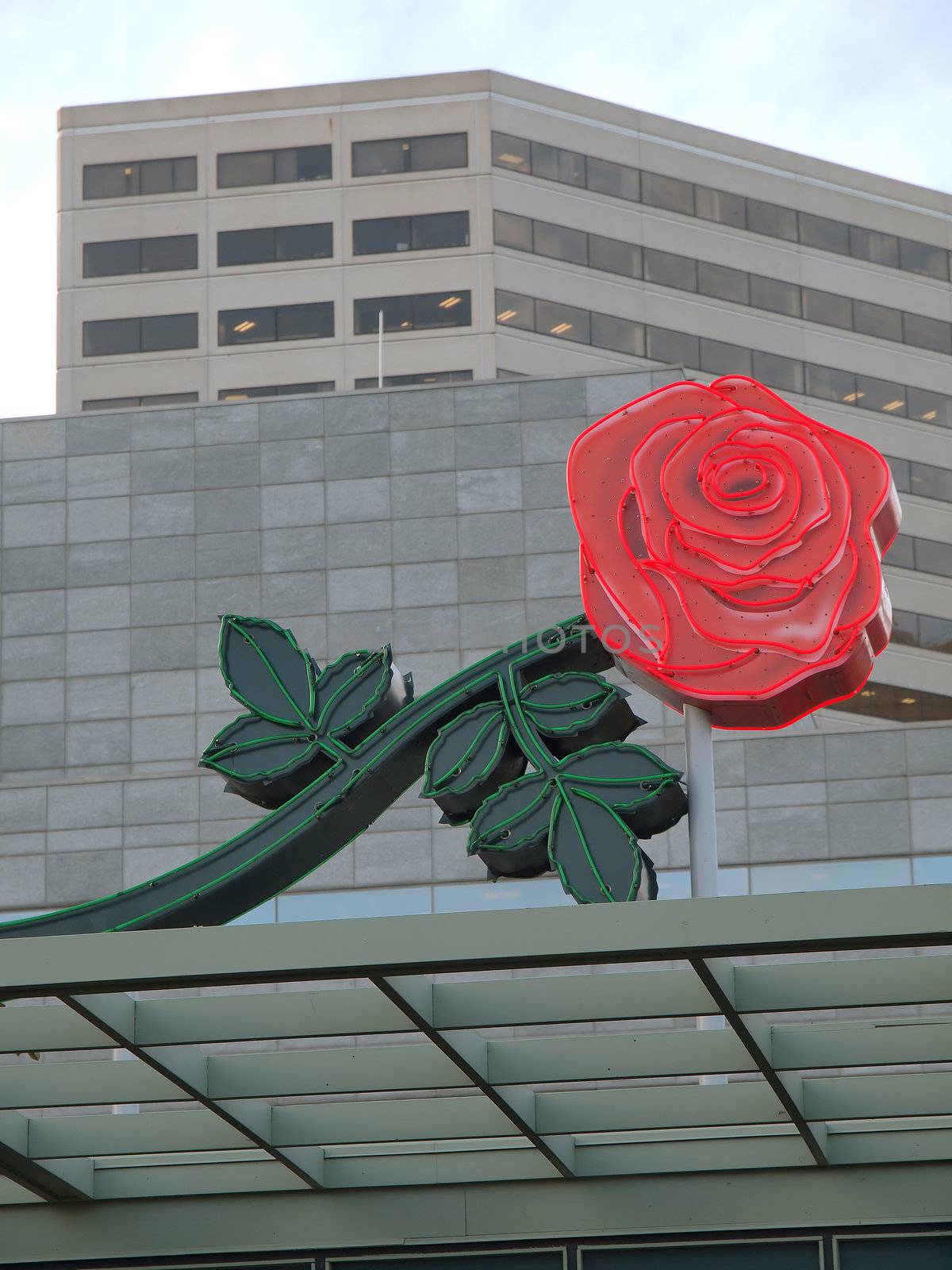 Portland Oregon Rose city, symbol flower. by Rigucci