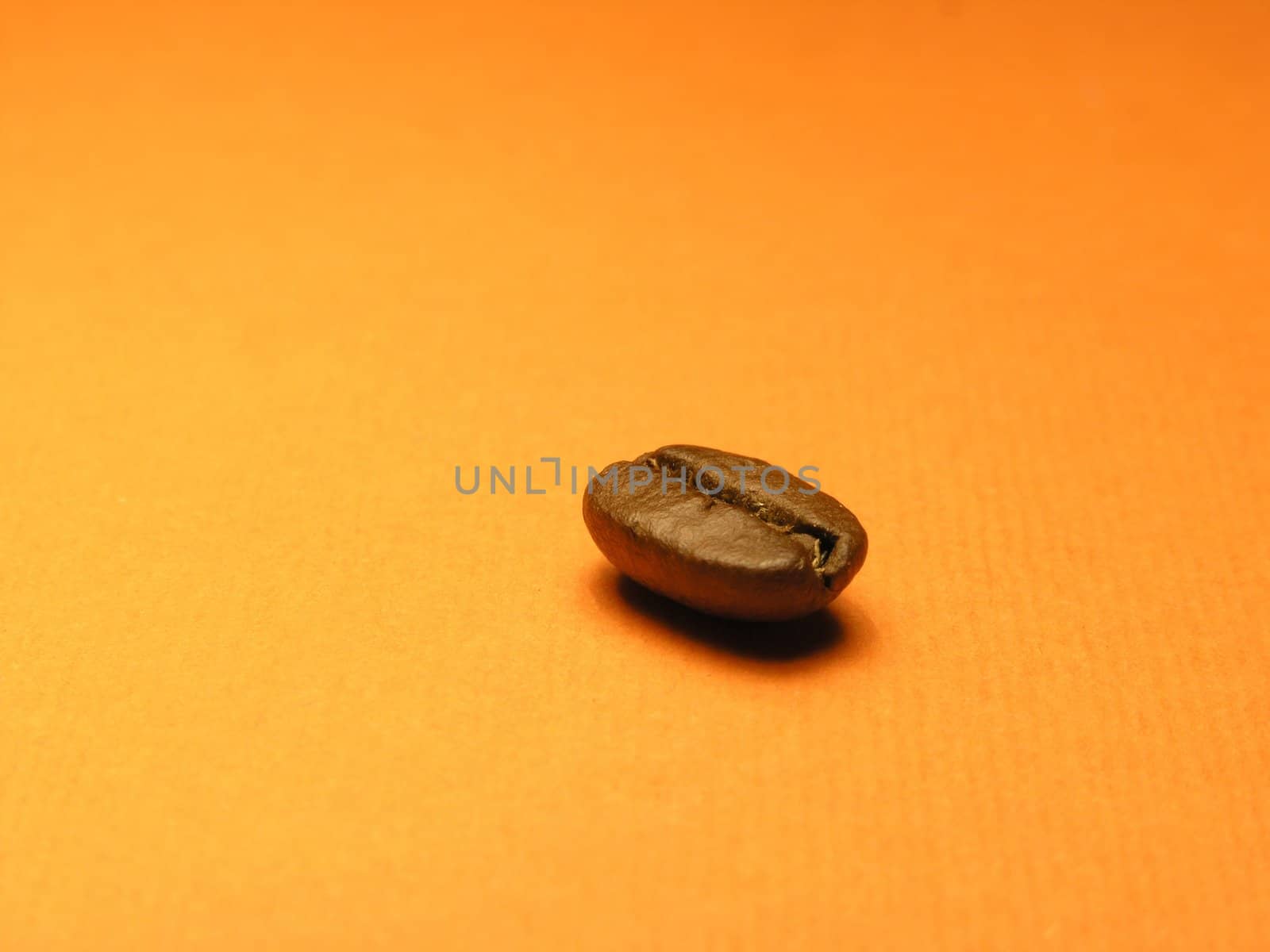 One coffee-berry on orange background