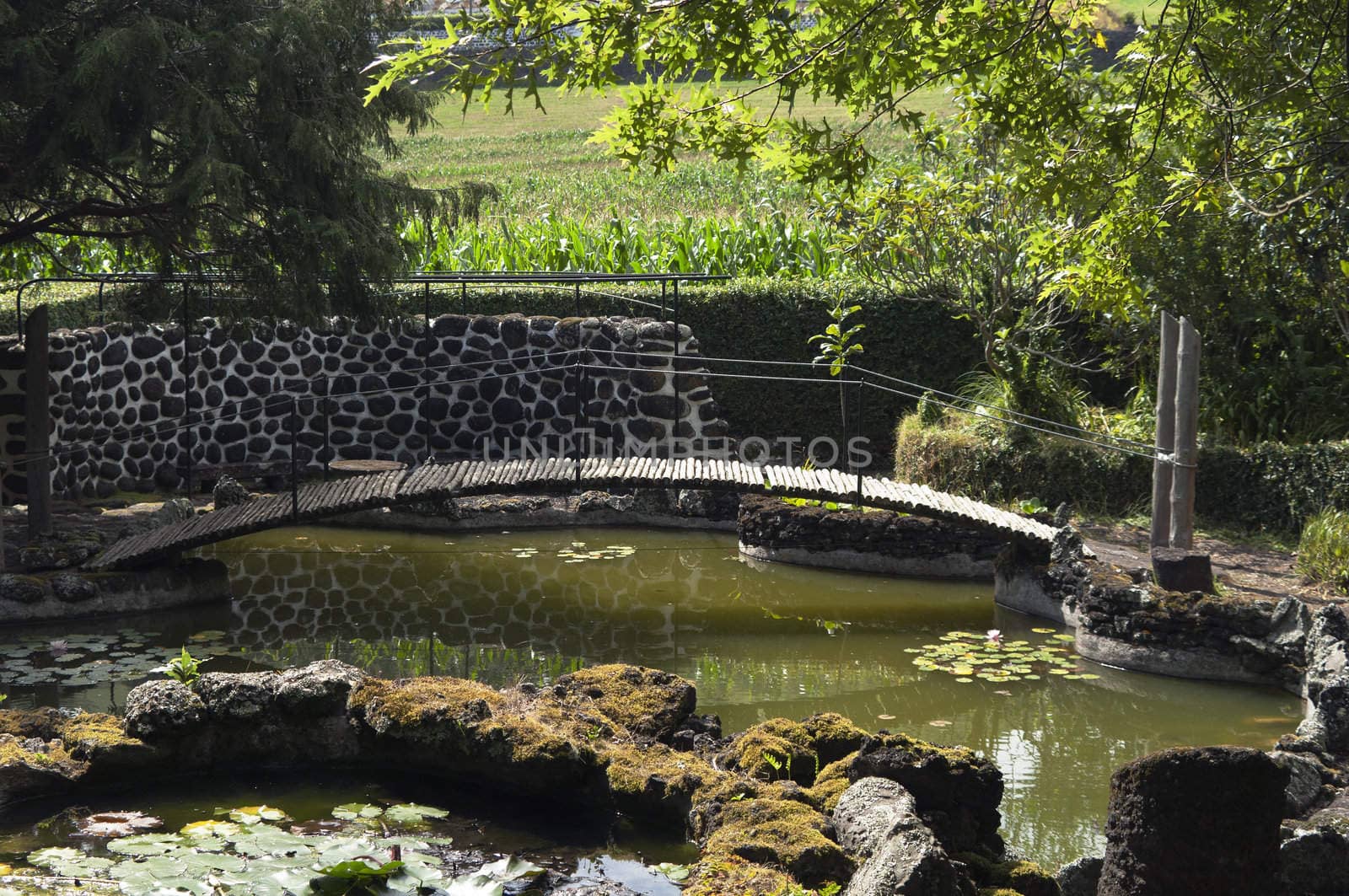 Footbridge over a small lake in a garden