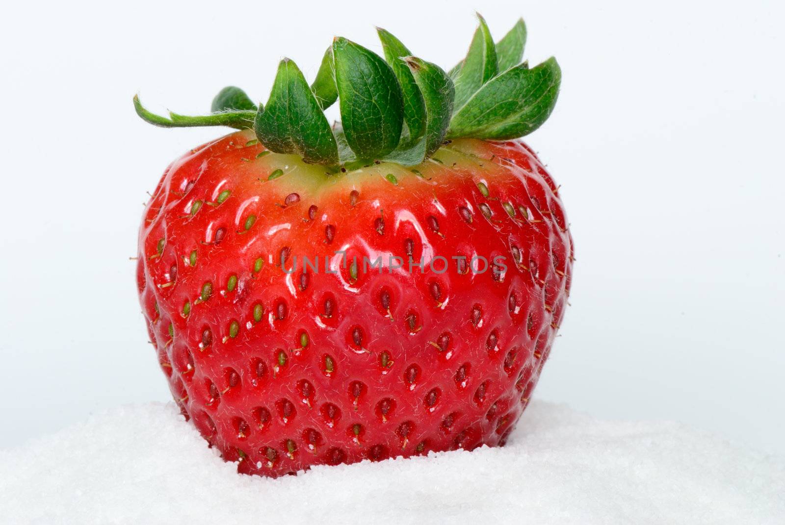 Strawberry by fahrner