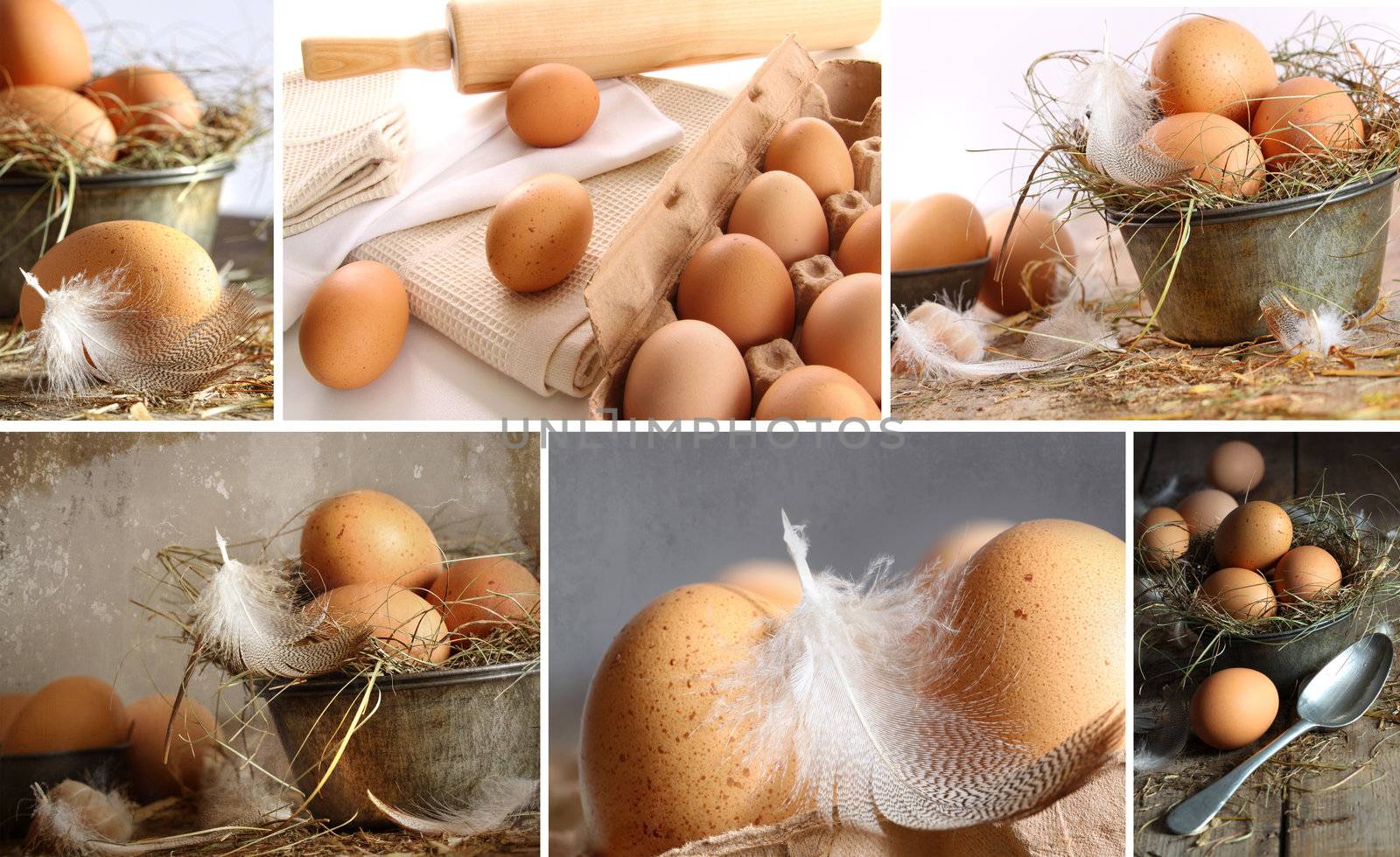 Collage of brown eggs images for the holidays