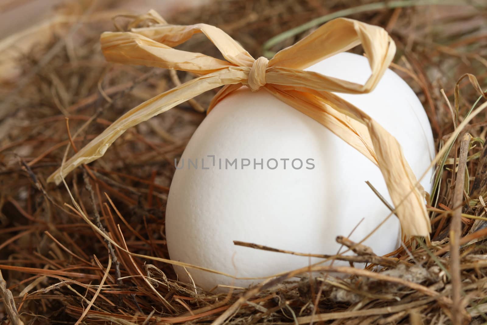 White egg with bow on straw background
