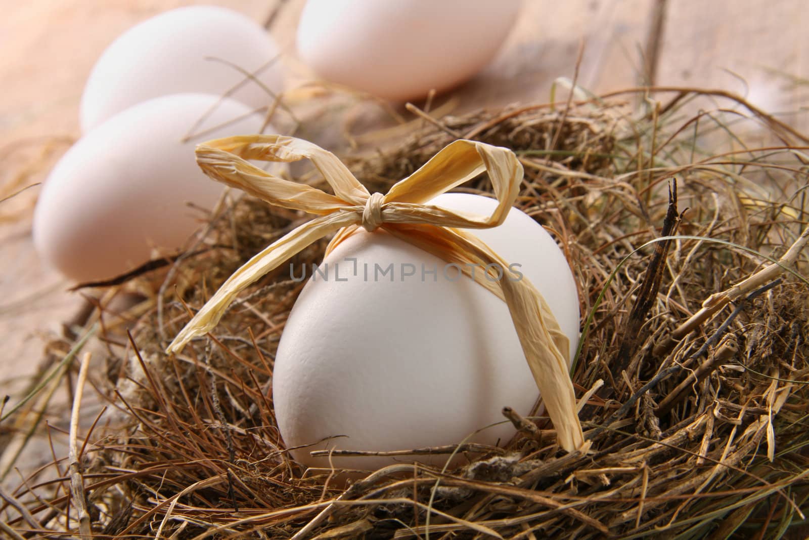 White egg with straw bow in nest on wood by Sandralise
