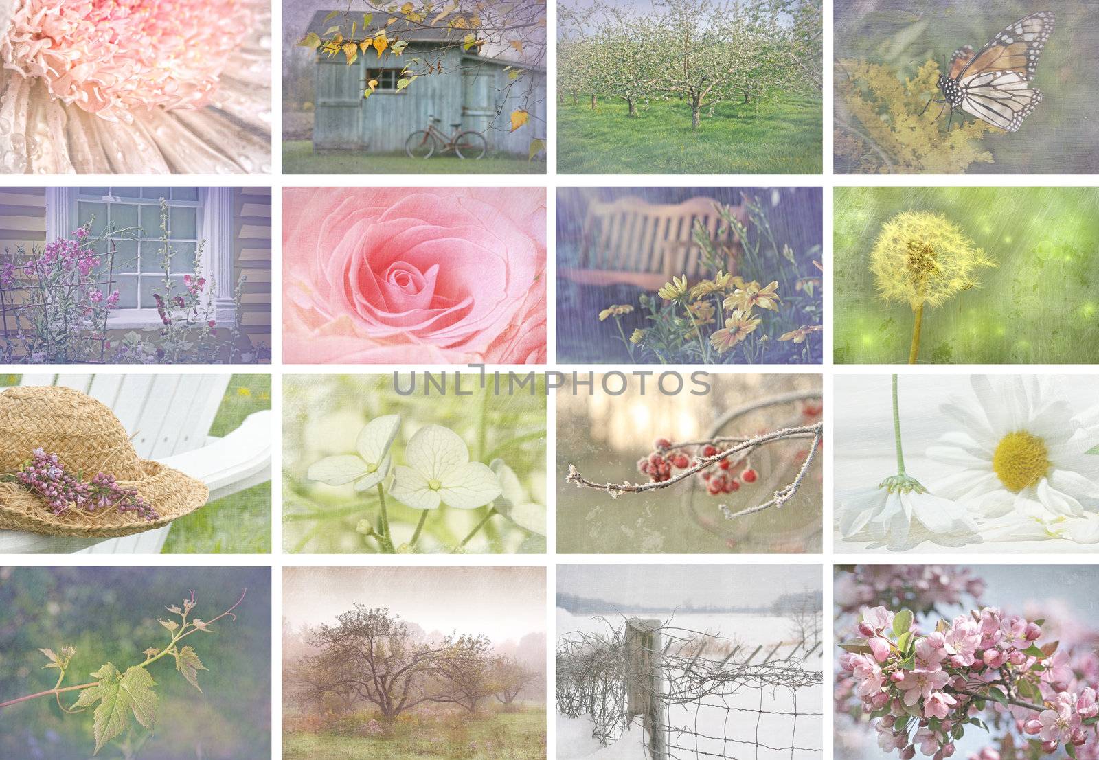 Collage of seasonal images with vintage look by Sandralise