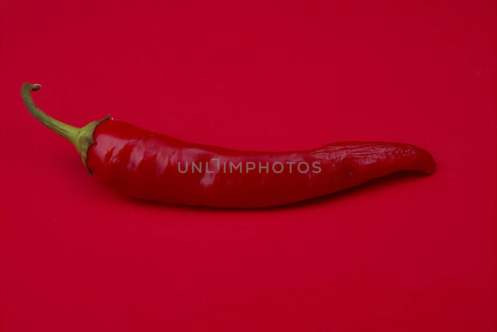 Red pepper isolated on red background