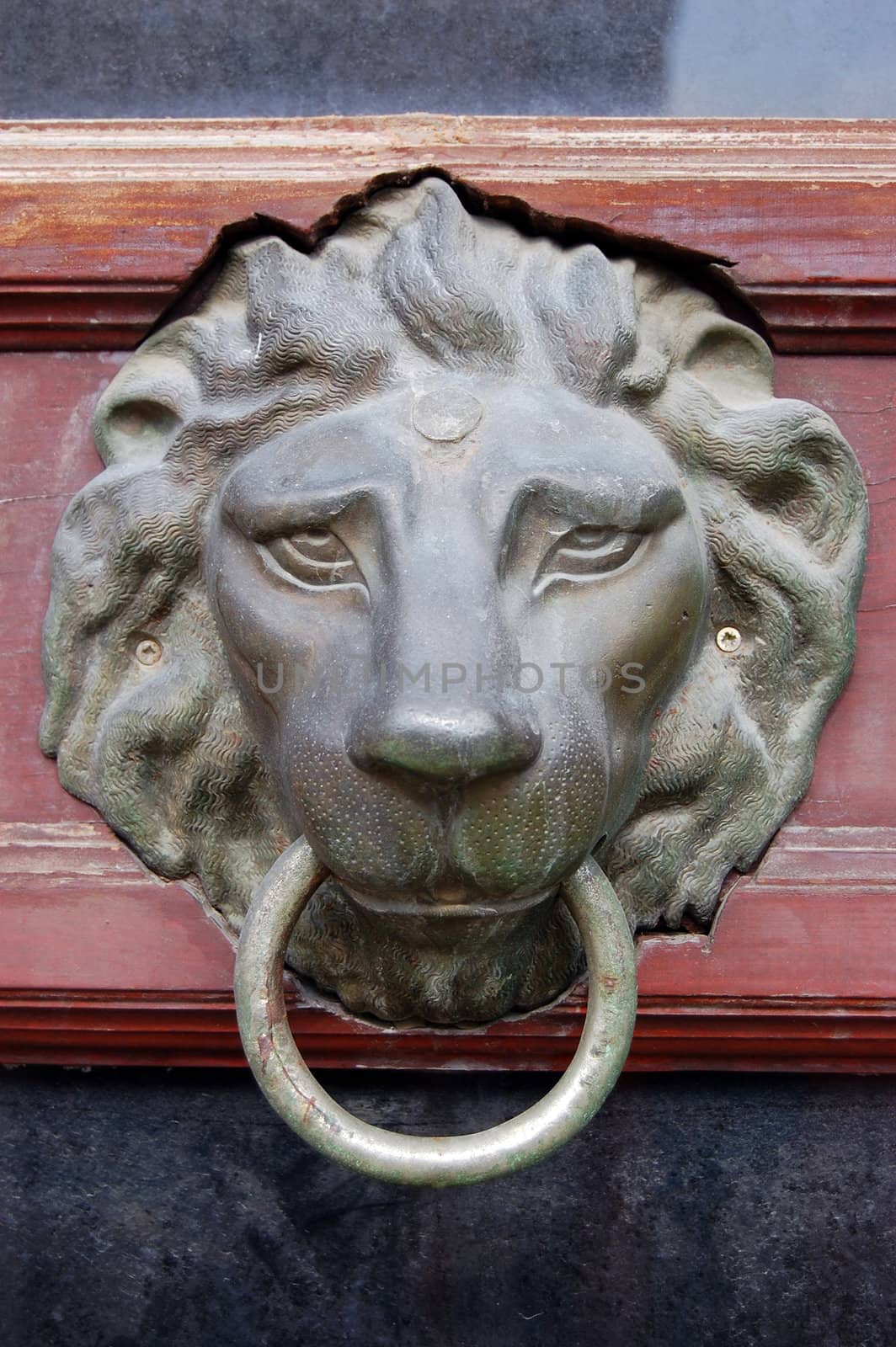Door knob with lions head