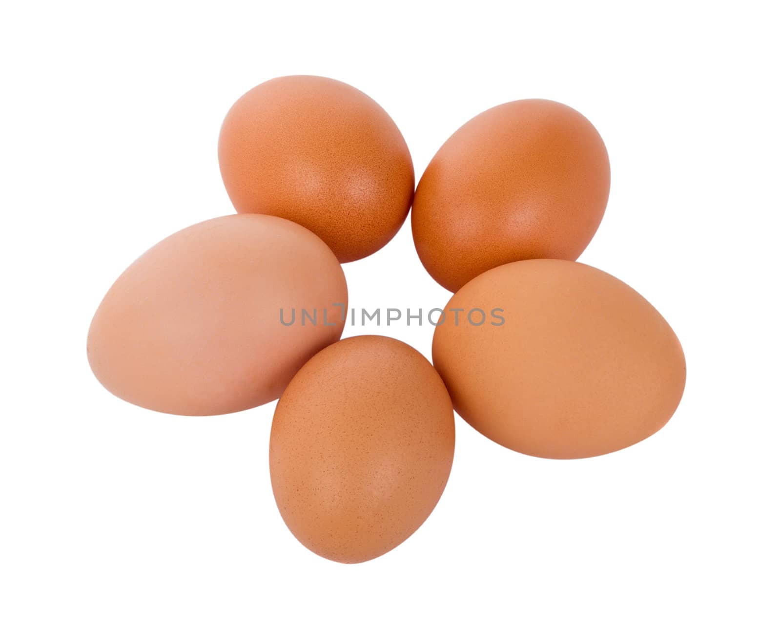 close-up five brown eggs, isolated on white