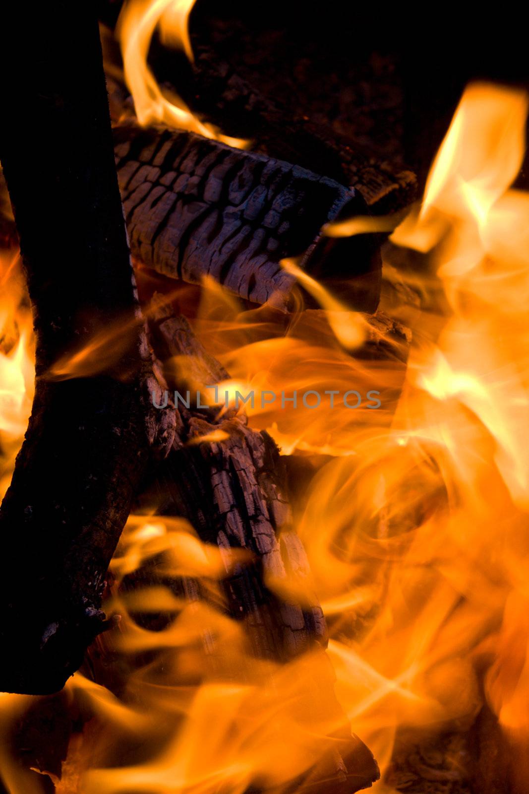 close-up firewood in orange fire