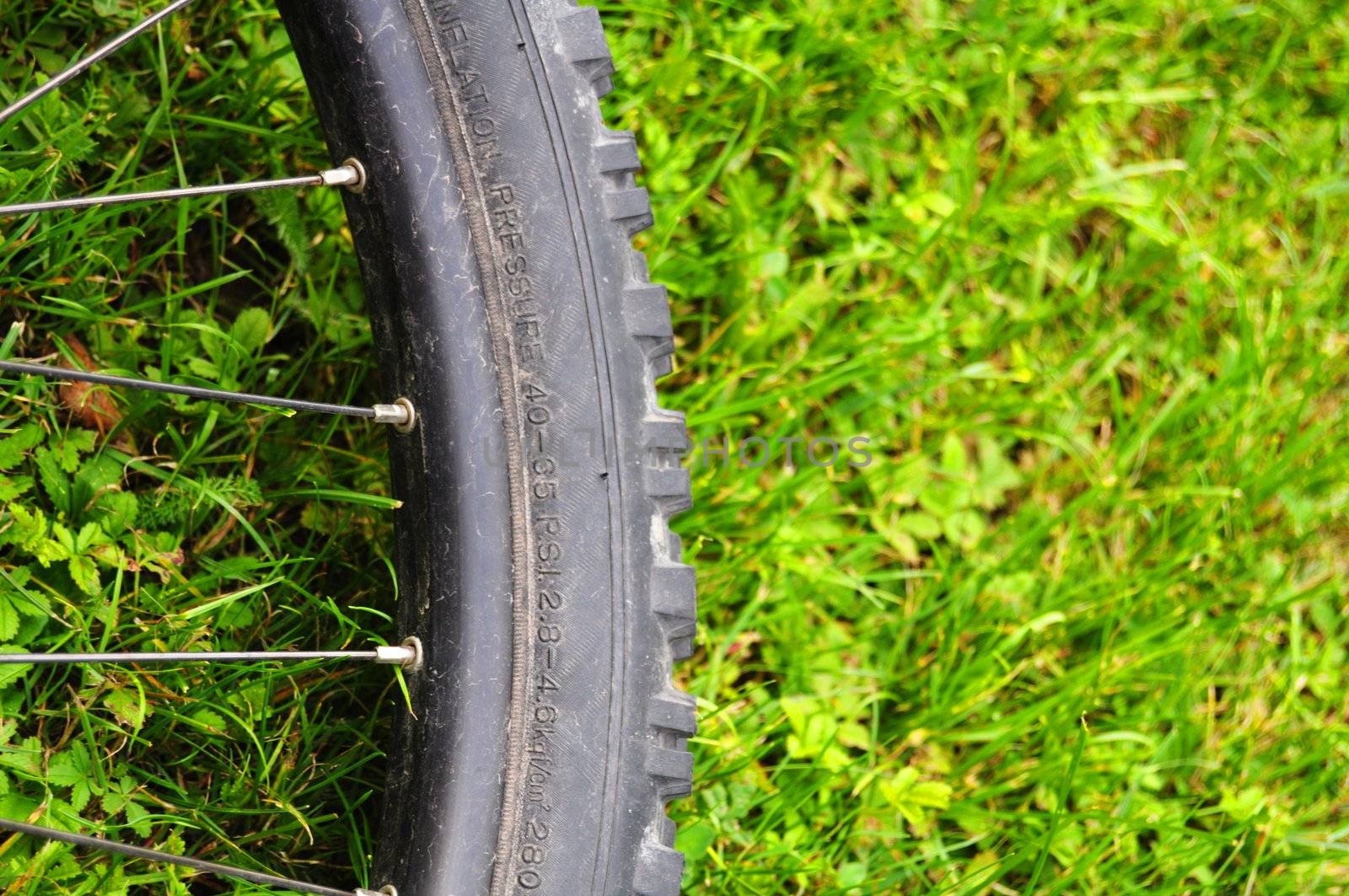 mountain bike offroad tire in green grass showing sport in nature concept
