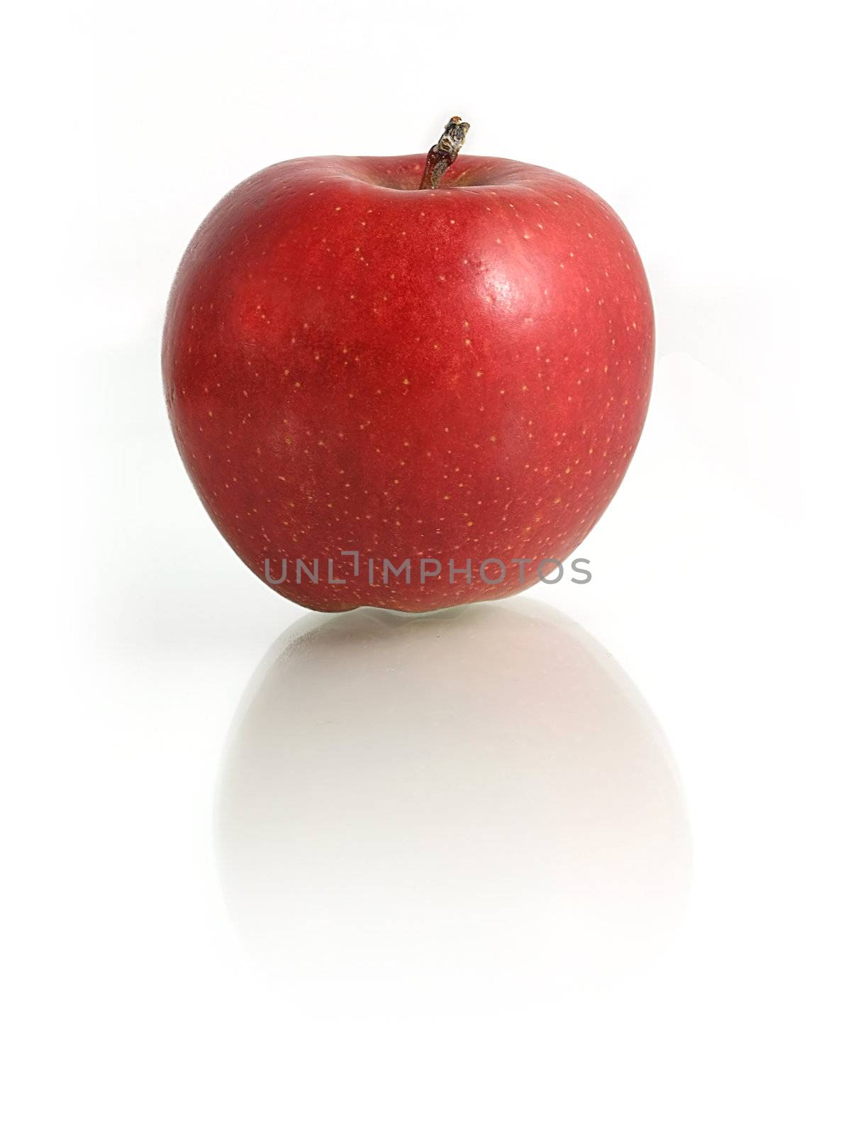 Red Apple on white mirroring background
