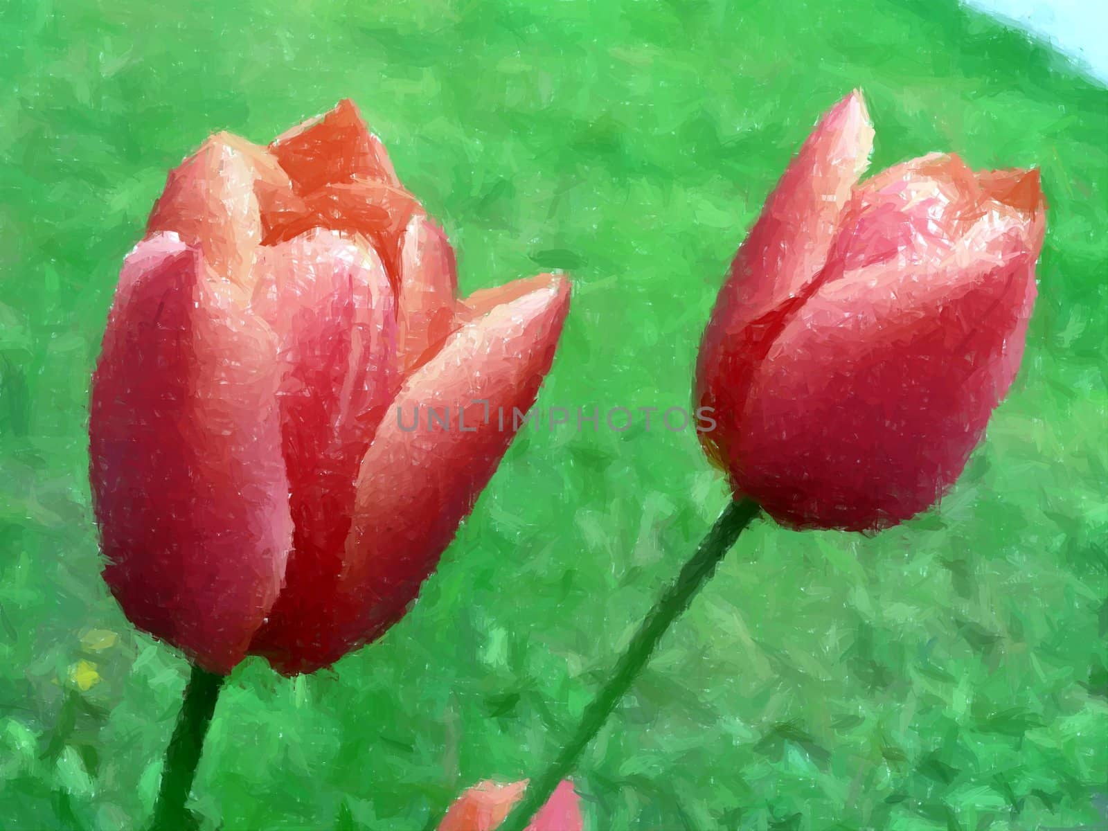 Painting of red tulips