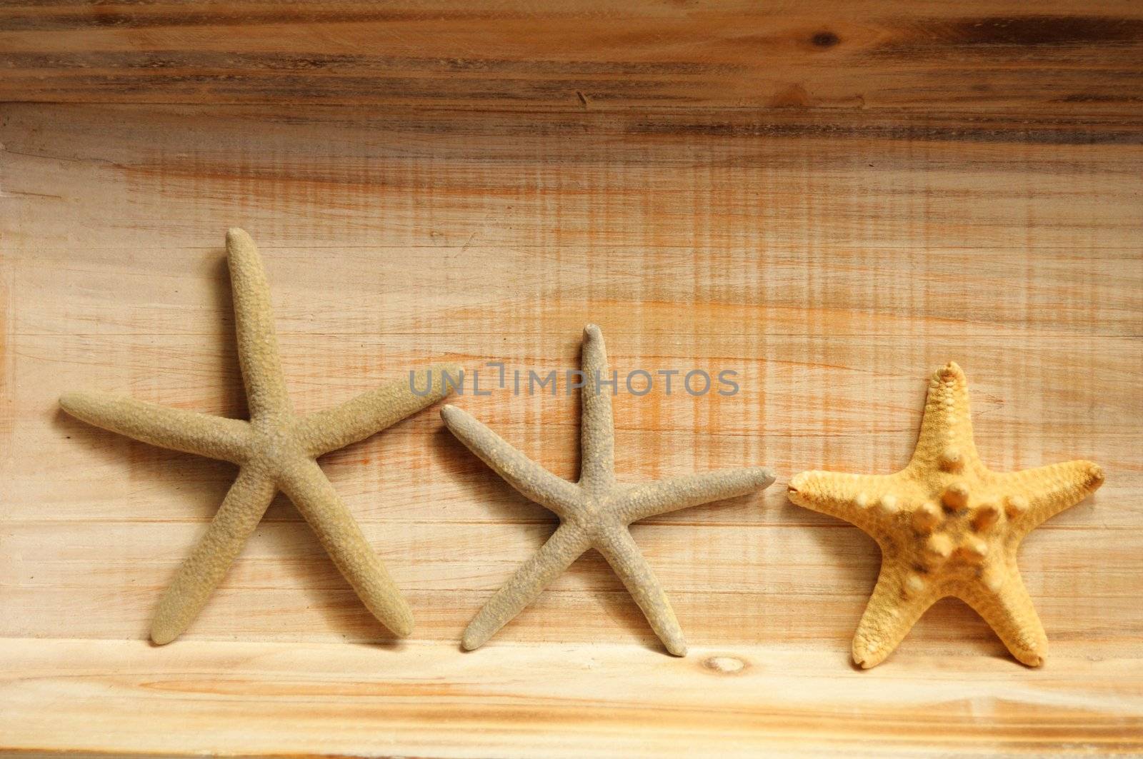star fish and wood copyspace showing holiday or vacation concept