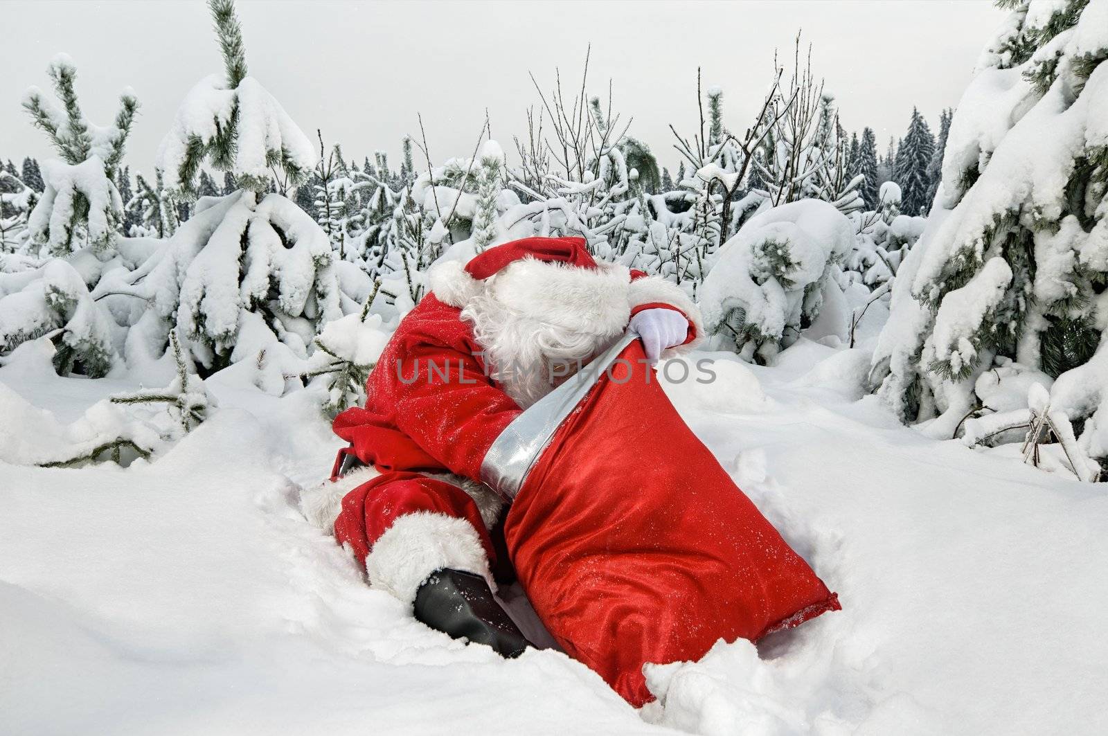 Santa Claus with his sack by nikitabuida