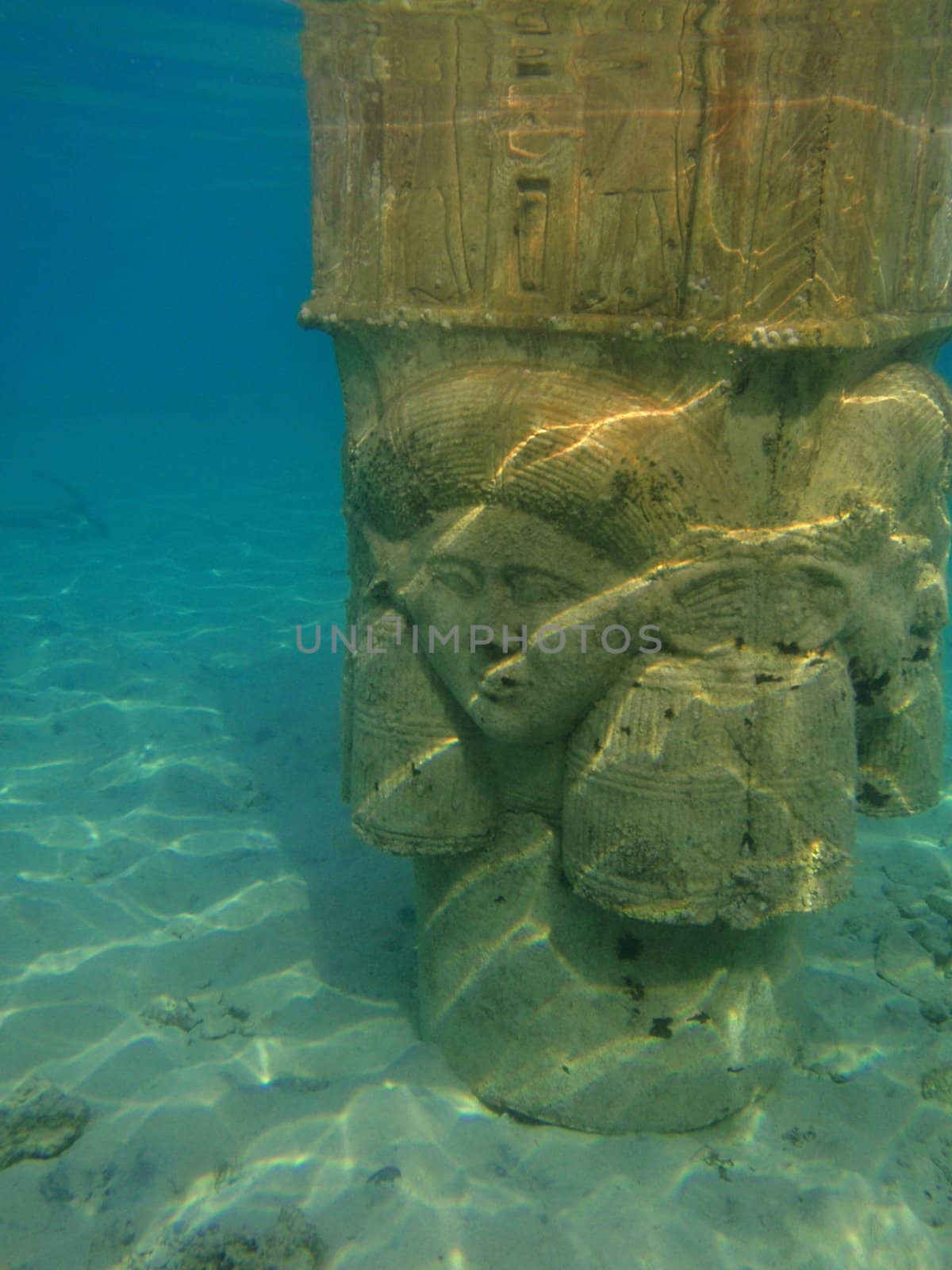 Underwater scene, rest on the Red sea, Egypt, Hurgada