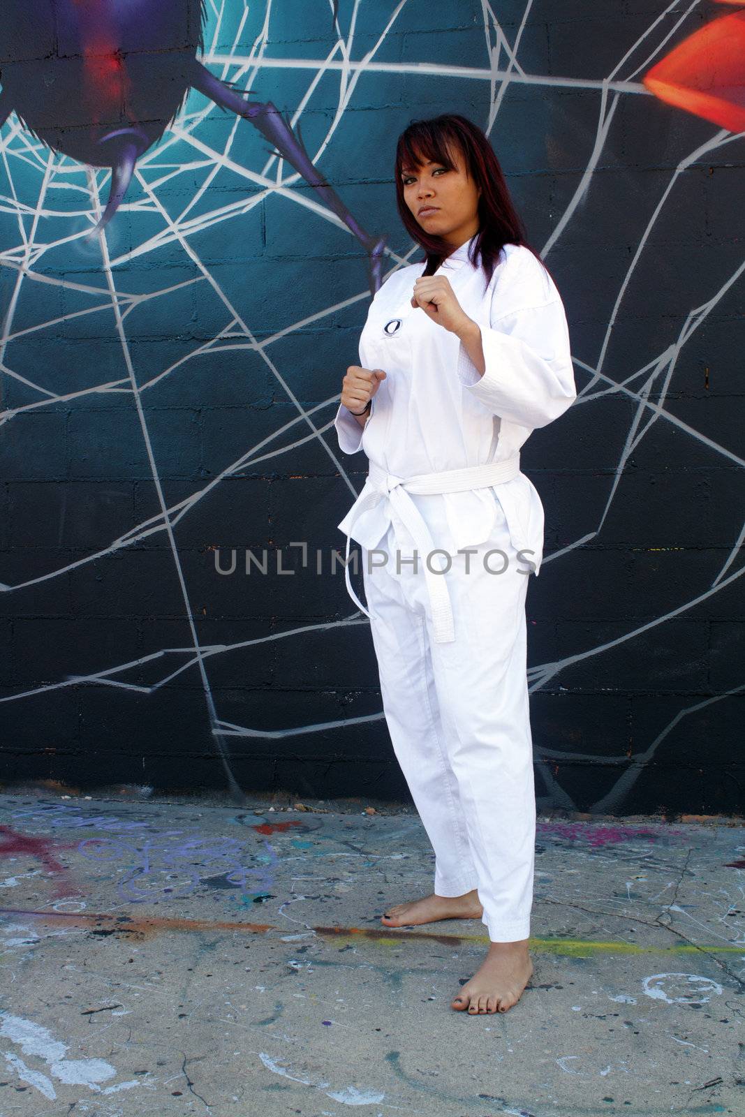 Beautiful Martial Arts Girl and Graffiti (1) by csproductions