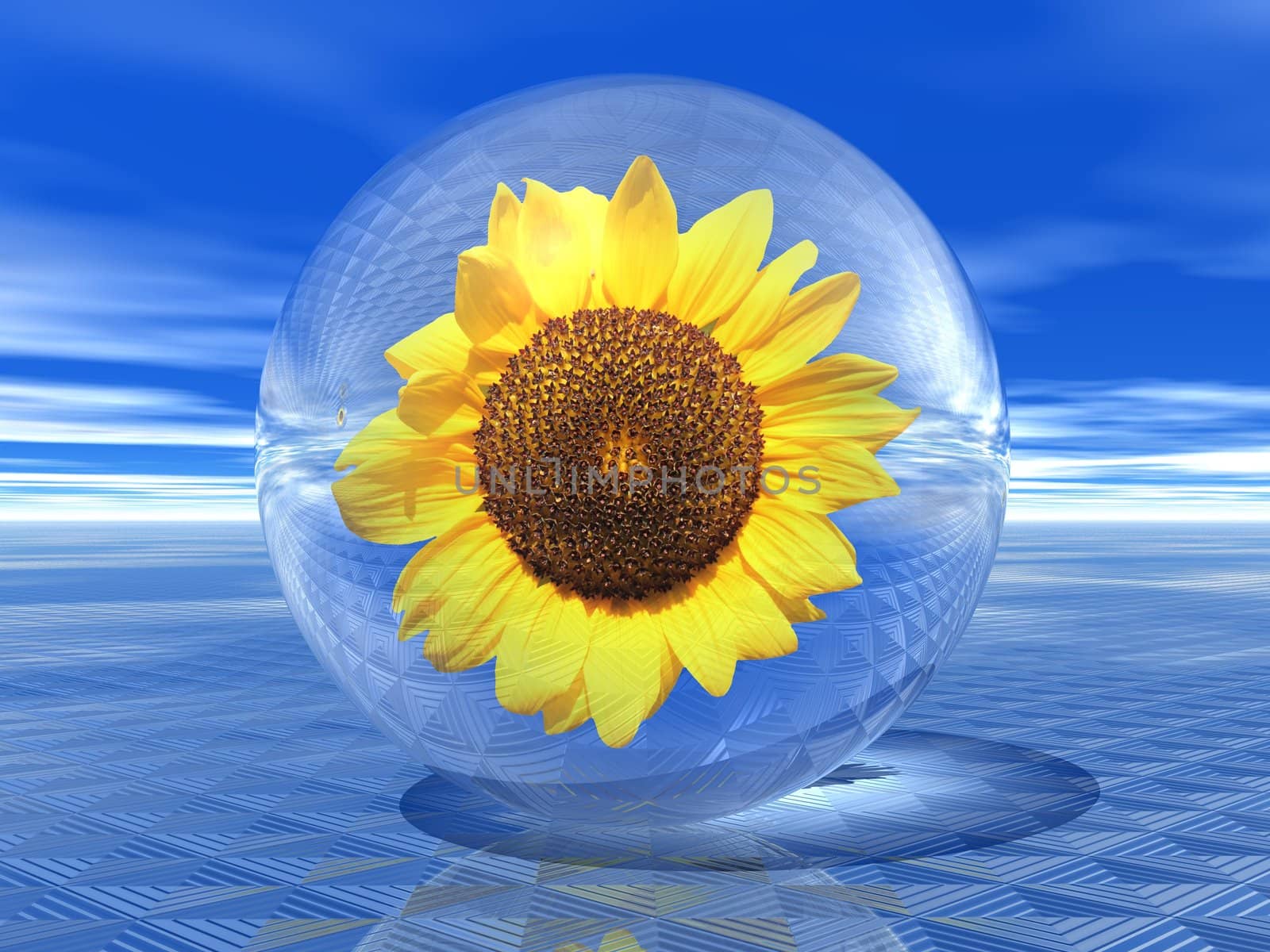 Sunflower in transparent a bubble upon a blue modern ground