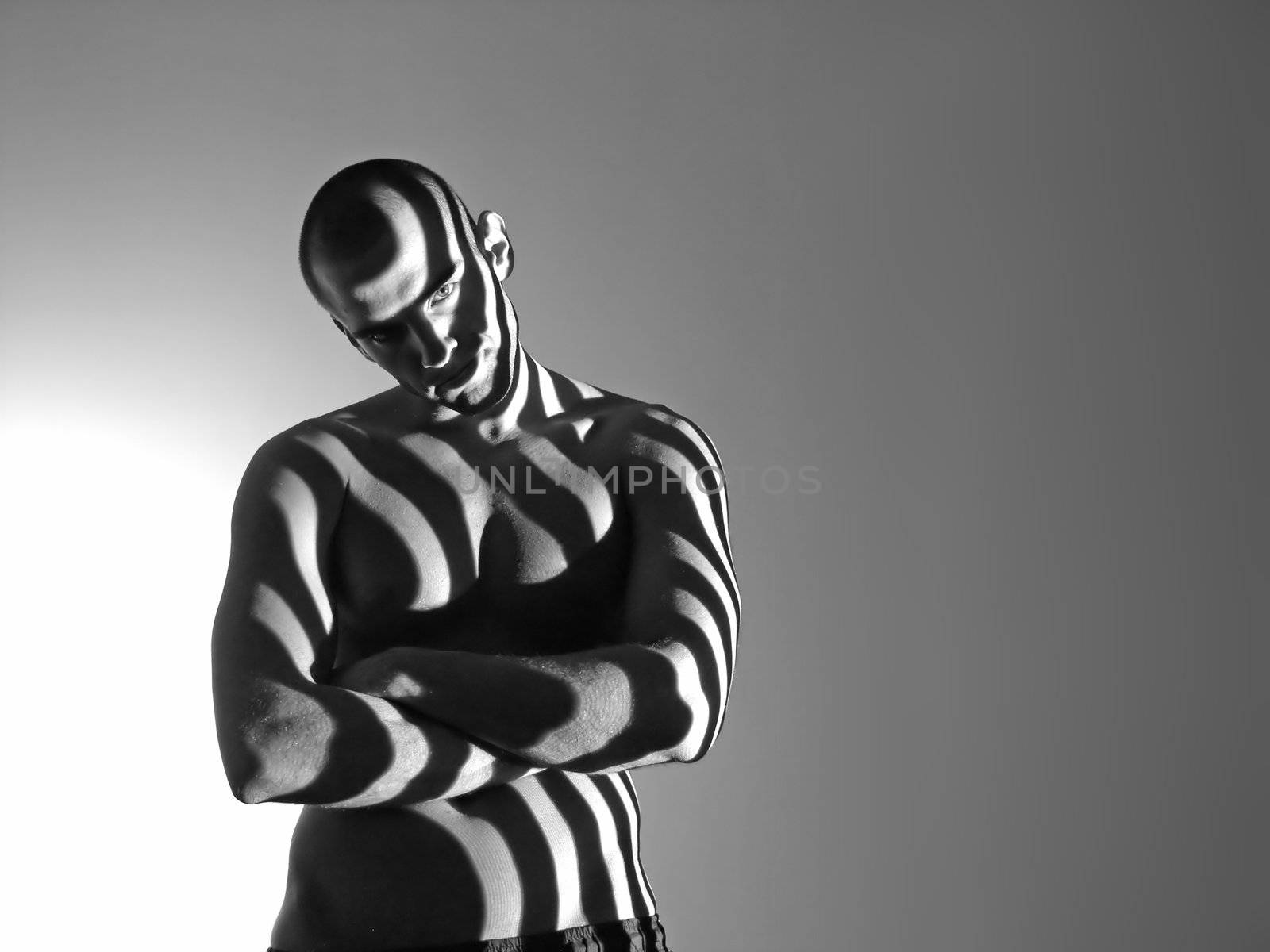 Zebra Man by adamr