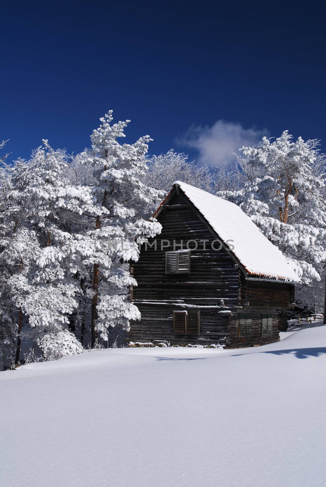 Mountain house in snow, winter sunny day