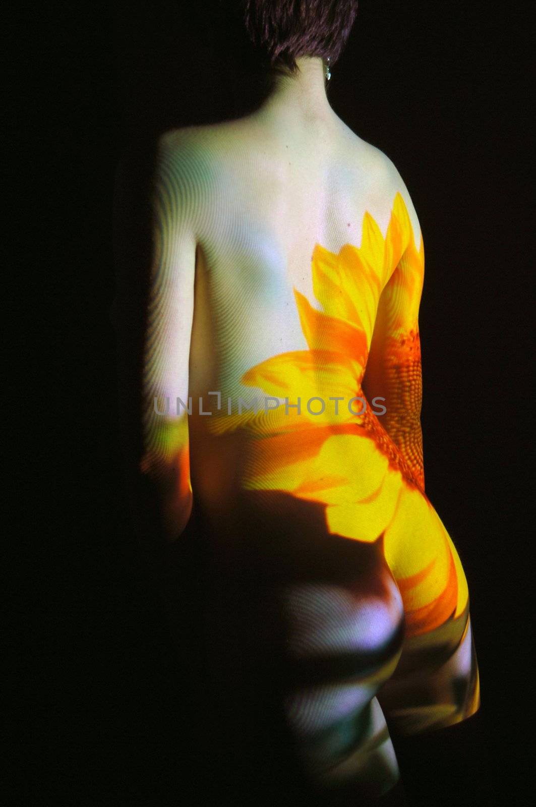 Sunflower Girl by adamr
