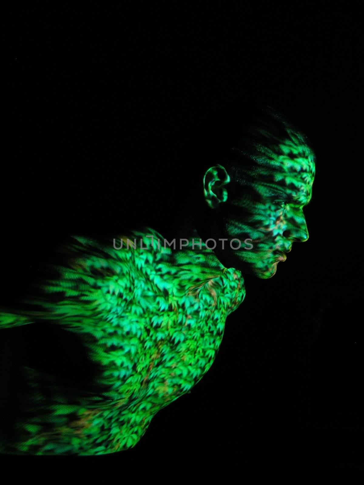 Projection of Leafs Texture on Human Body