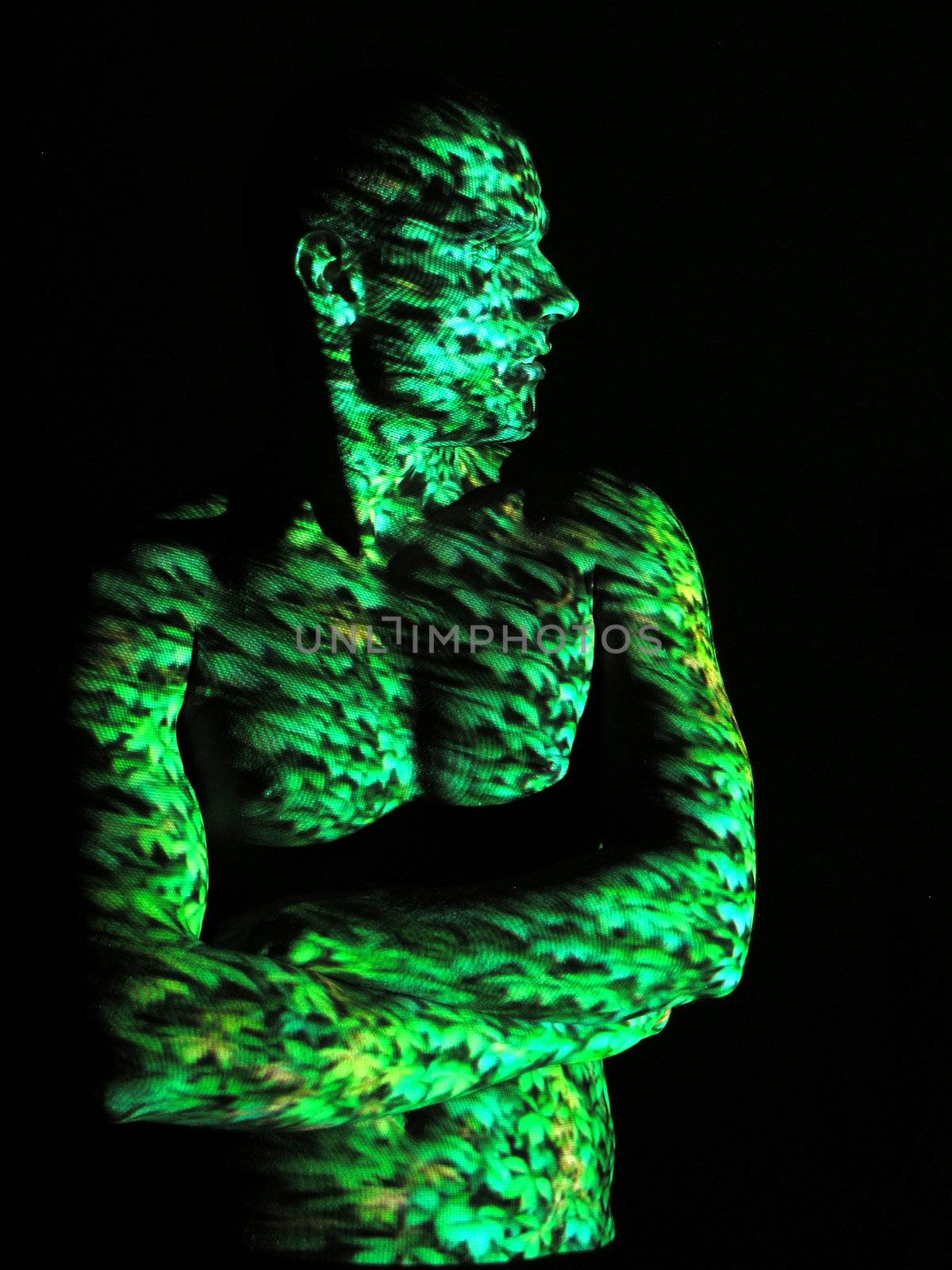 Projection of Leafs Texture on Human Body