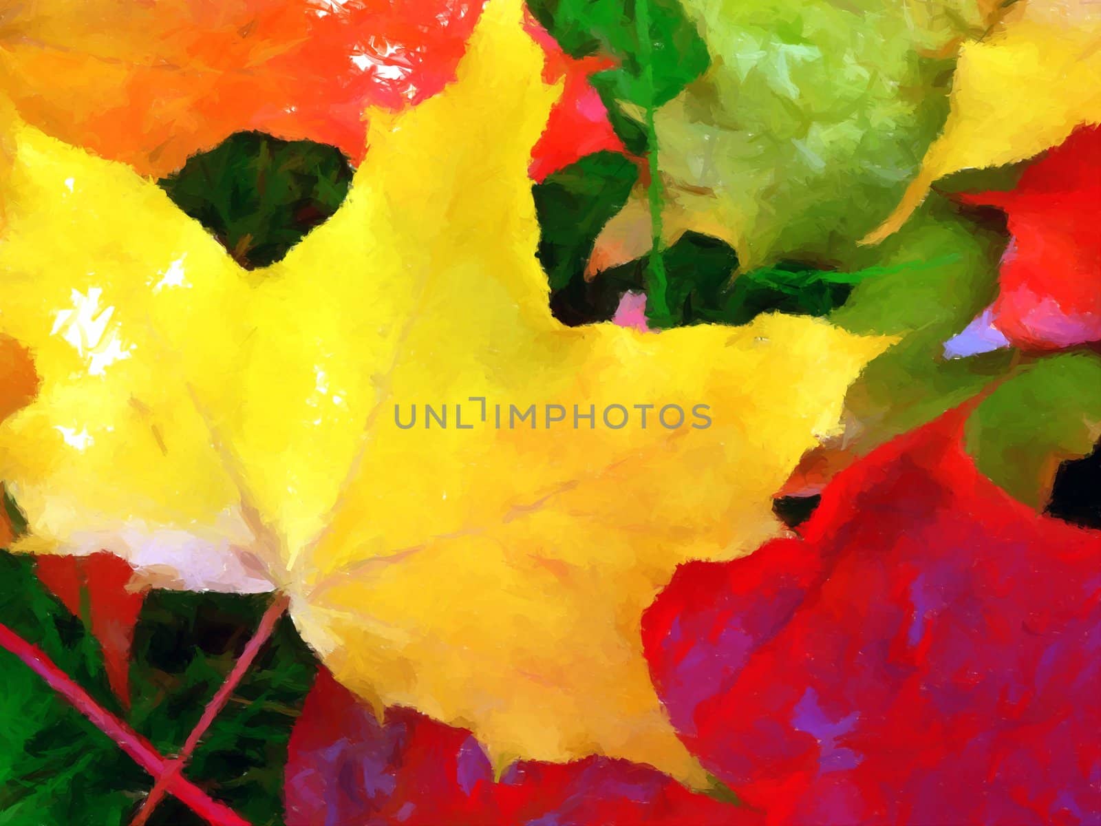 Maple leaves collecting on the ground in autumn.