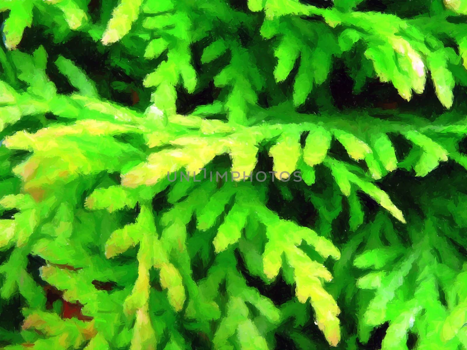 Beautiful bright green juniper leaves texture or background.