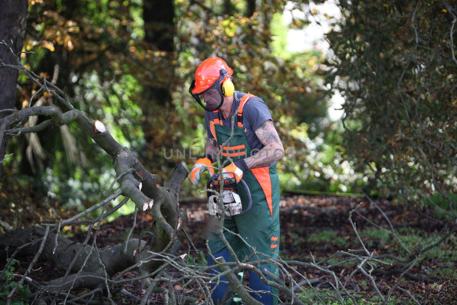 Forest workers in working with chainsaw
