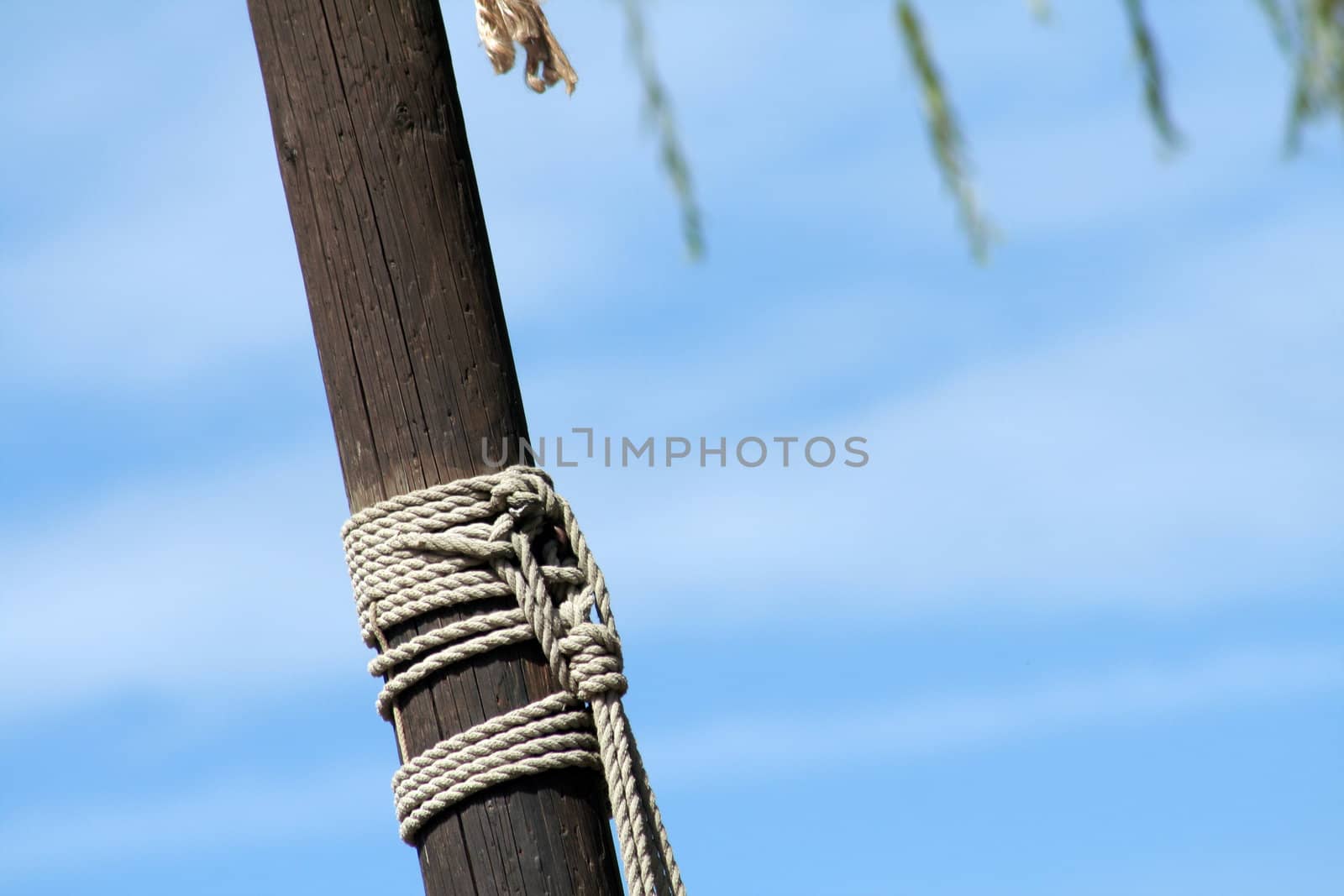 ropes with knots on the old wooden mast