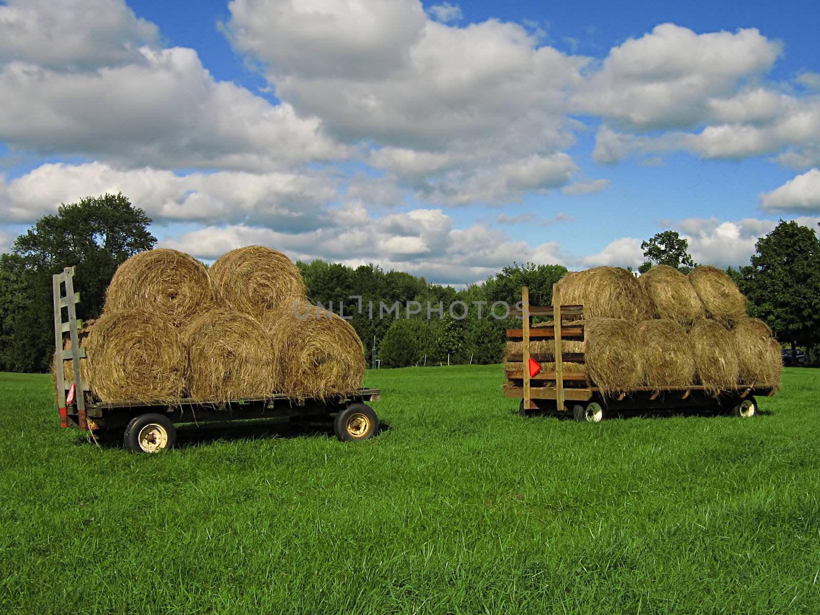 A photograph of two farm wagons loaded with hay.
