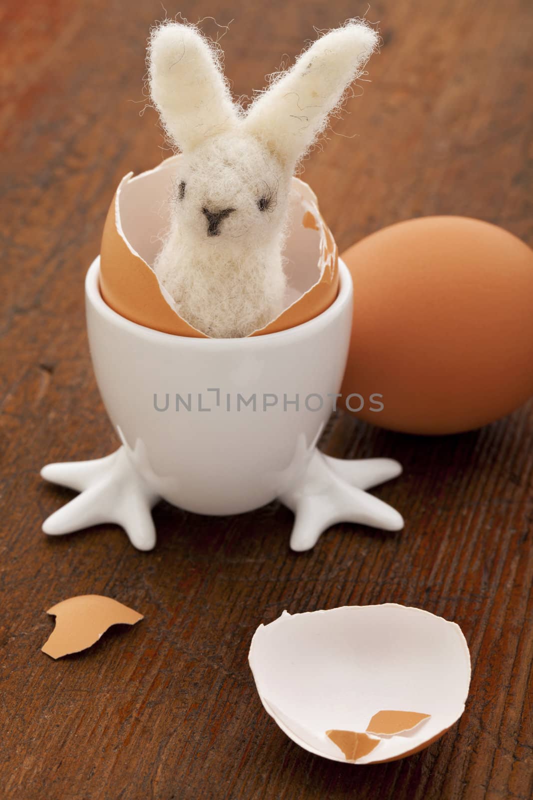 Easter decoration concept - woolen bunny hatching from a chicken egg