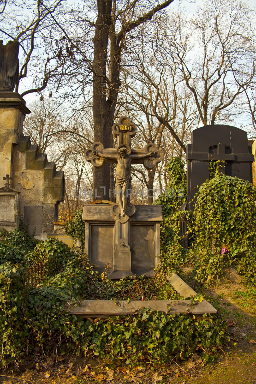 graves by slavapa