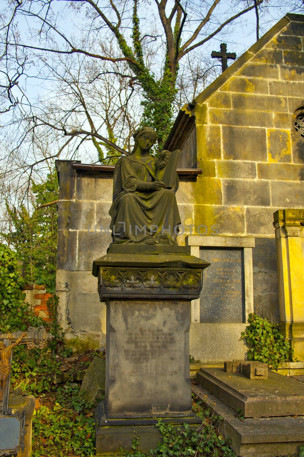 graves by slavapa