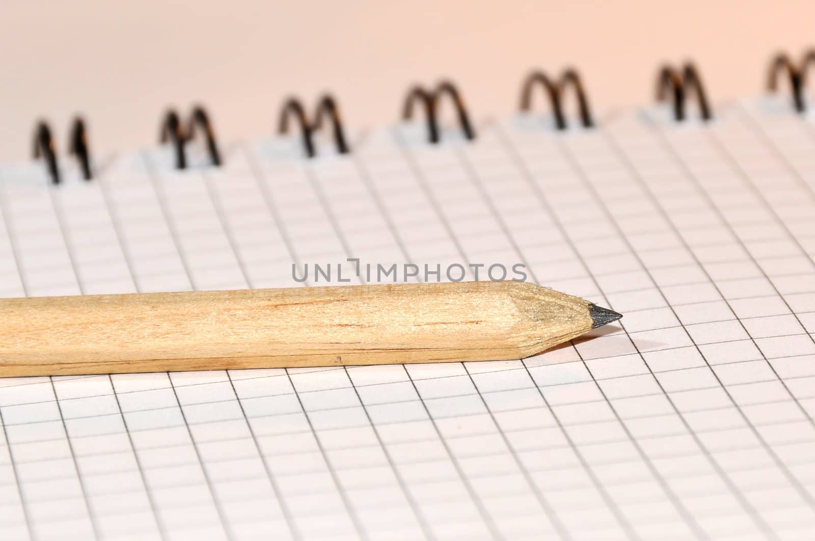 pencil for drawing on a writing-book in a cage