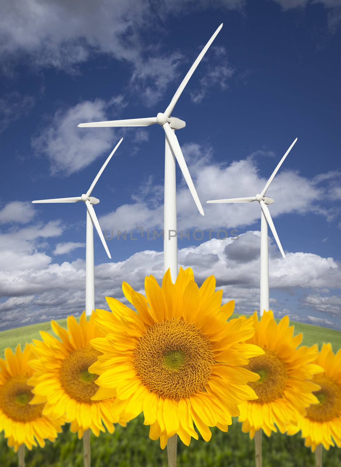 Wind Turbines Against Dramatic Sky with Bright Sunflowers by Feverpitched