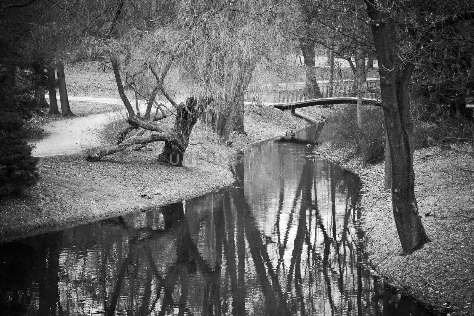 A pond with the trees in Warsaw Lazienki park