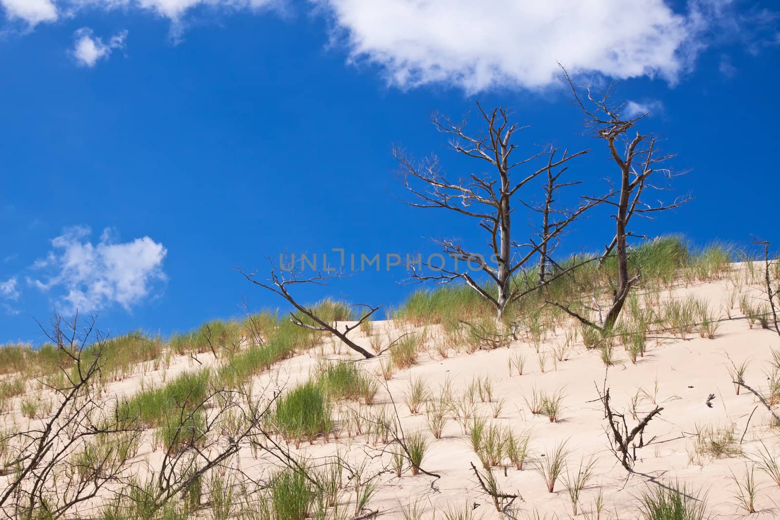 Moving dunes near the Baltic Sea in Slowinski park