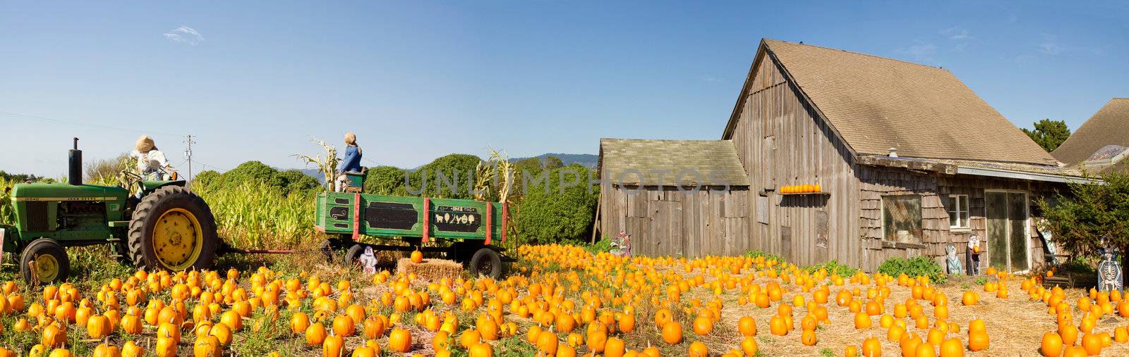 Pumpkin Patch Farm House with Halloween Decoration by jpldesigns